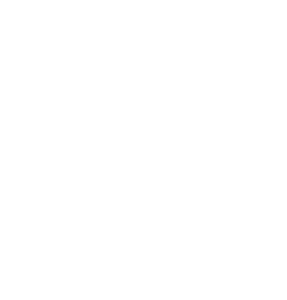 Newsboys Official Store